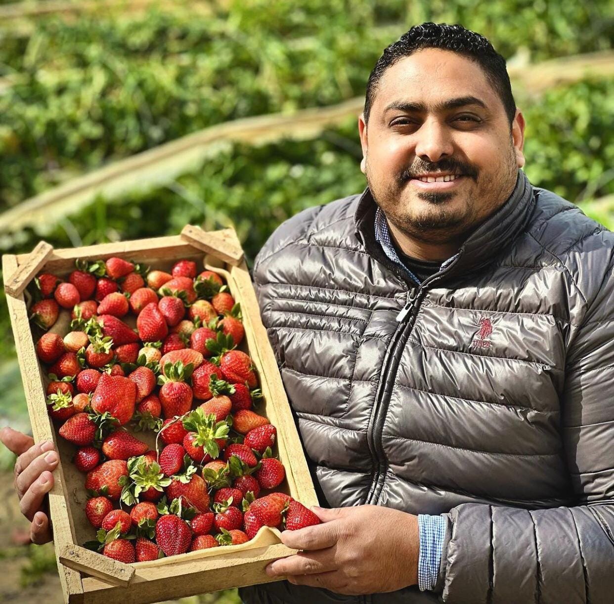 Momin is holding a crate of strawberries. He smiles at the camera. Behind him is the strawberry field. 