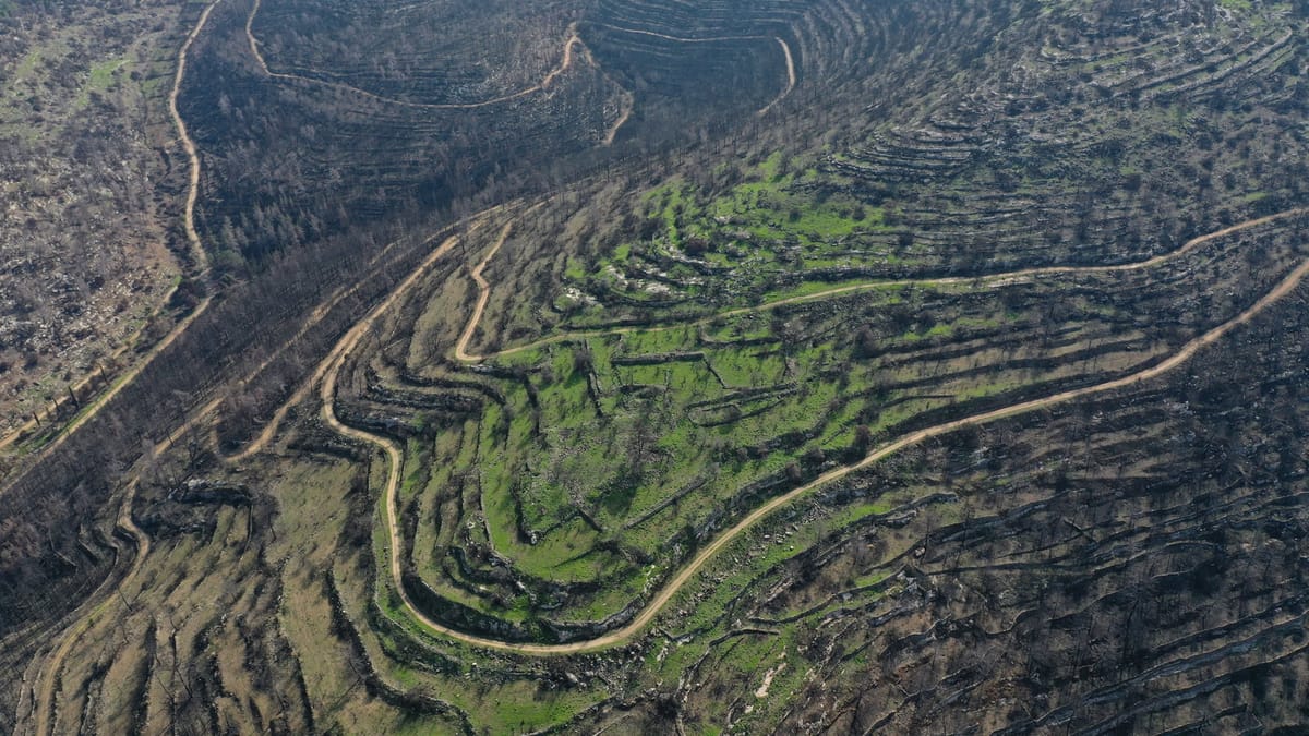 The land tells the truth