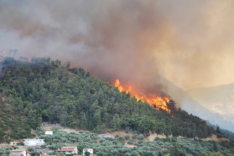 The climate crisis is our most urgent existential threat